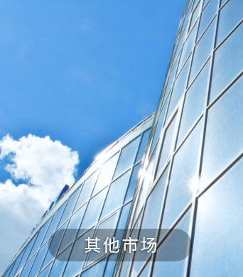 其他市场